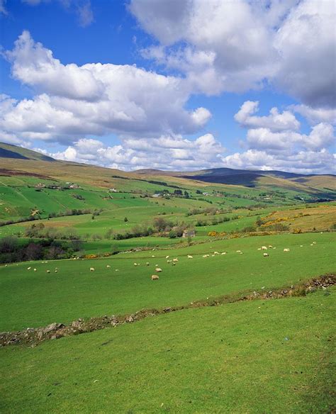 Sperrin Mountains,co Tyrone,northern Photograph by The Irish Image ...