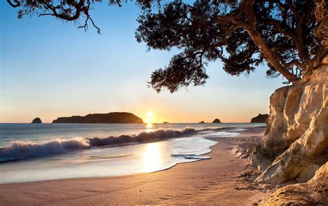 Coromandel. | Cathedral cove, North island new zealand, Beach