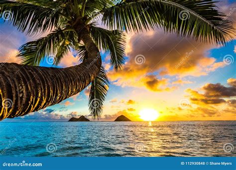 Lanikai Beach Sunrise stock photo. Image of hawaiian - 112930848