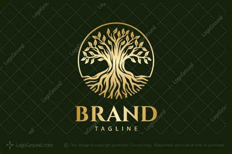 Golden Oak Tree Logo