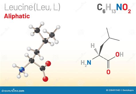 Leucine (Leu, L) Amino Acid Molecule. (Chemical Formula C6H13NO2) Stock ...