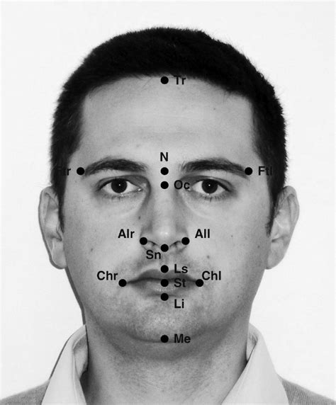 The landmarks considered in this study. On the midline: Tr indicates ...