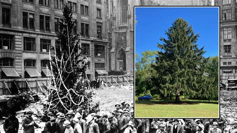 Rockefeller Center Tree: When Is Tree Lighting 2022 and More Questions Answered See This Year’s ...