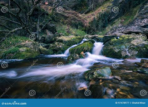 Water fall Ireland stock image. Image of dried, forest - 97478977