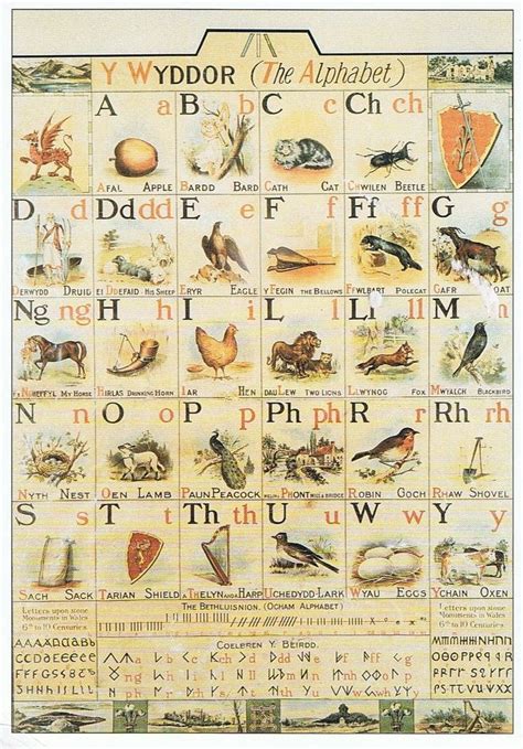 The Welsh Alphabet poster (c.1900) based on the alphabet of T.C. Evans ...