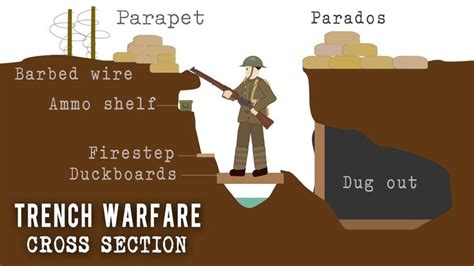 Trench Systems (Cross Section) - YouTube | Trench, High school history, Warfare