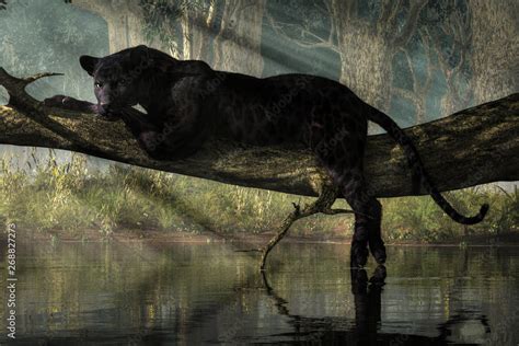 A black panther sits on a log over a small calm jungle pond. Sunlight ...