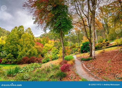 Colourful and Peaceful Autumn Scene in the Park Stock Photo - Image of ...