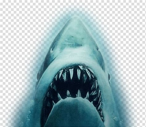 Shark Jaws Clip Art