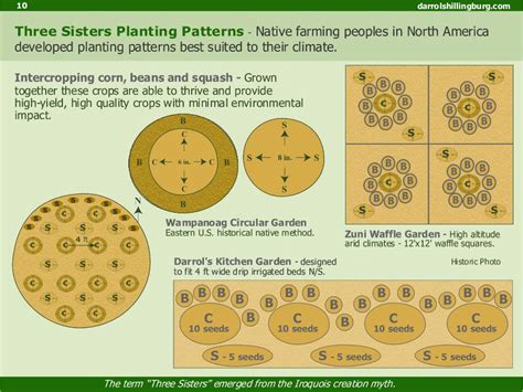 3 Sisters Planting Plans | Planting plan, Three sisters, Garden planning