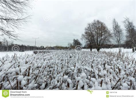 A Beautiful Snow-covered Winter Forest. Ice Lake and Forest Streams ...