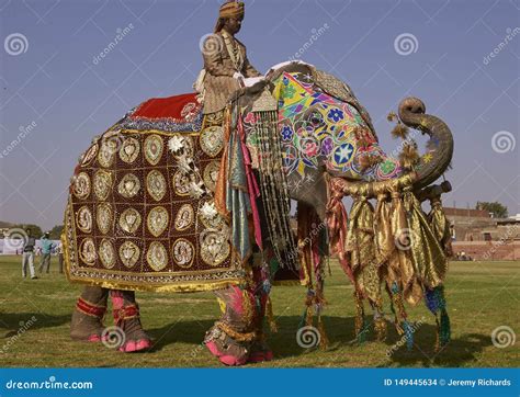 Elephant Festival, Jaipur, India Editorial Photo | CartoonDealer.com #15677565