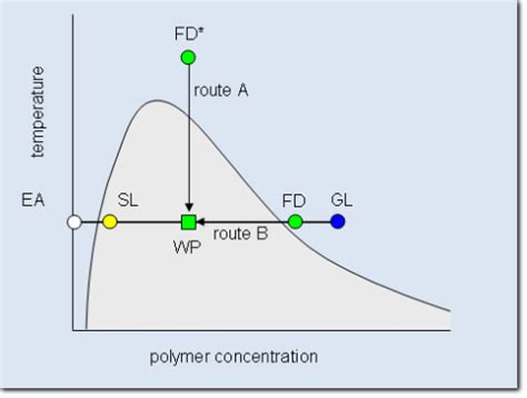 Polymer Phase Diagram - Wiring Diagram