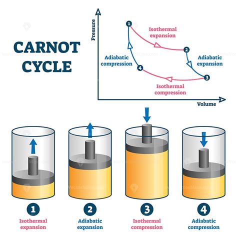 Carnot cycle vector illustration | Physics concepts, Physics, Basic physics