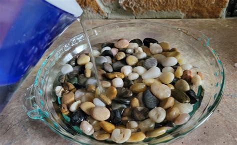 Pebble Tray for Plants: DIY Instructions to Improve Humidity