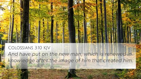 Colossians 3:10 KJV 4K Wallpaper - And have put on the new man, which ...