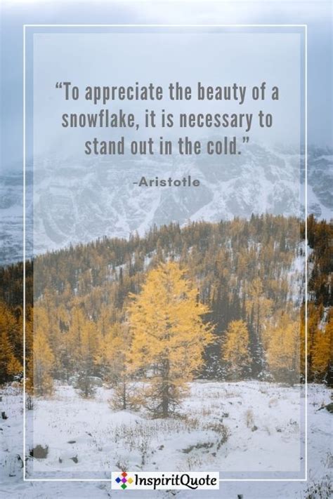 50 Best Winter Season Quotes and Sayings That Prove the Beauty of the Season - Inspirit Quote ...