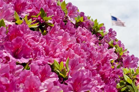 Springtime for Eglin > Eglin Air Force Base > Article Display