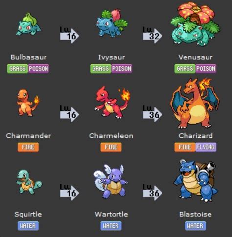 Kanto Starters Evolution | Pokemon pokedex, Pokemon evolutions chart, Pokemon