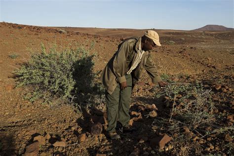 The elusive black rhino in Namibia | CNN