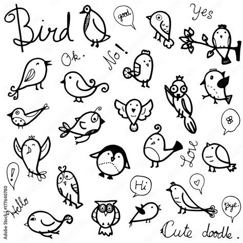 vector collection set of cute birds drawing in black outline doodle on white background Stock ...