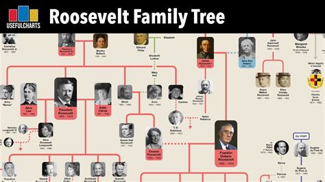 Roosevelt Family Tree - YouTube