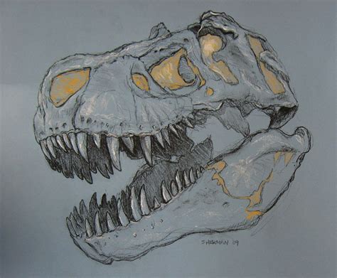 t rex skeleton tattoo - Google Search | Dinosaur illustration, Animal drawings, Dinosaur art