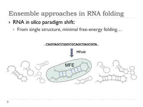 PPT - RNA 3D and 2D structure PowerPoint Presentation, free download - ID:3047002