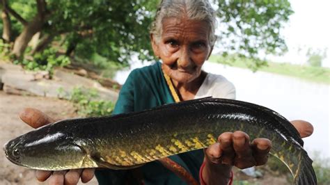 Maral Fish Fry Recipe In Marathi