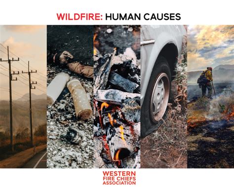 What Causes Wildfires? | WFCA