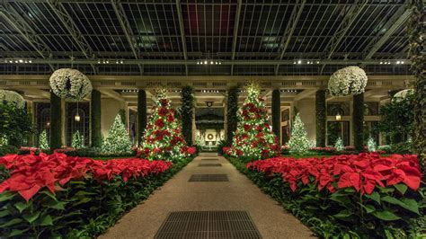 Longwood Gardens Christmas Images - Beautiful Insanity