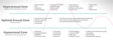 The Window of Tolerance and PTSD – PTSD UK