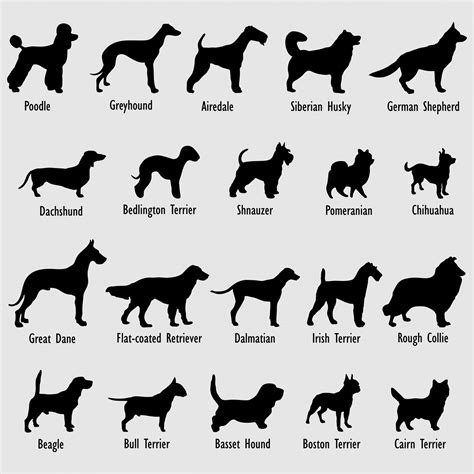 Dog Breeds Silhouettes Background Free Stock Photo - Public Domain Pictures