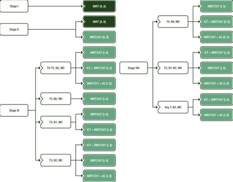 Nasopharyngeal Carcinoma Staging