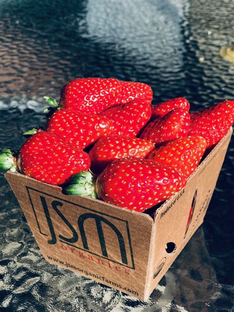 Strawberry Season! | Organic produce, Strawberry, Organic