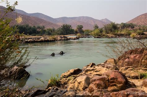 In Search of Crocodiles: The Kunene River, Namibia » Ursula's Weekly ...