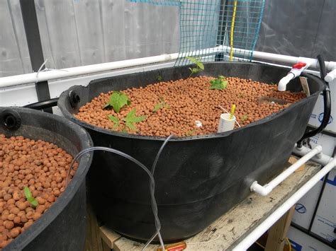 WolfenHawke1: Aquaponics Grow Beds and Media Stackup