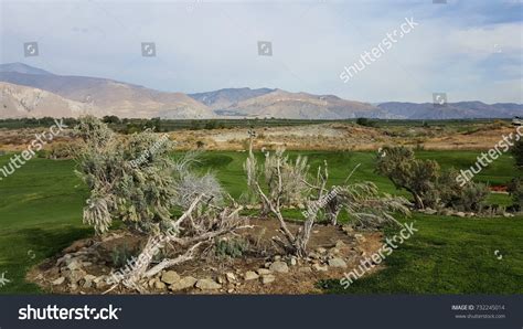 Golf Course View Stock Photo 732245014 | Shutterstock