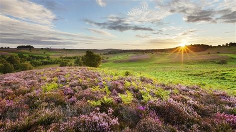 English Countryside Wallpapers - Wallpaper Cave | Countryside wallpaper, Uk landscapes, Landscape