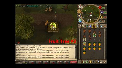 Runescape Updated Farming Guide - Fruit Trees/Calquat Tree (Fastest ...