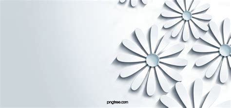 3d Paper White Flower Background, Paper Cut, S, Simple Background Image And Wallpaper for Free ...