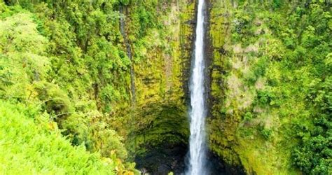 Akaka Falls Trail - Big Island Pulse