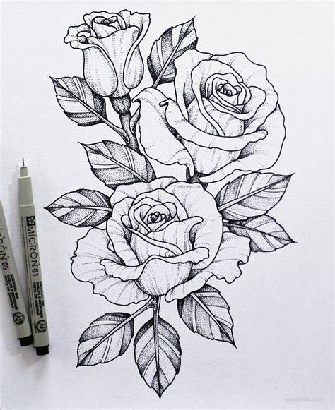 Unique Flower Sketches To Draw for Adult | Sketch Art Drawing