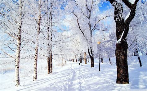 Winter Desktop Wallpapers - Top Free Winter Desktop Backgrounds ...