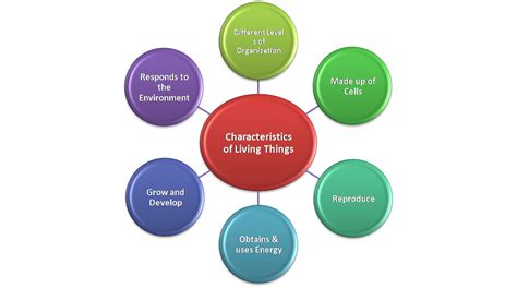 EduTech: Characteristics of Living Things