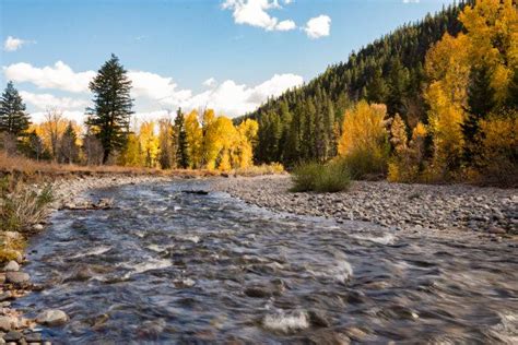 Find Fall Colors Along the Sawtooth Scenic Byway | Visit Idaho