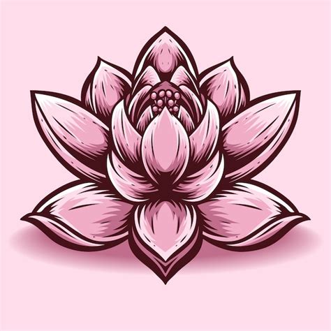 Lotus flower vector and logo Vector | Premium Download