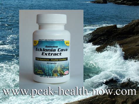 Ecklonia Cava Extract Benefits Shown by Research