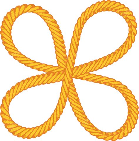 Lasso Rope Vector Art Shape Lasso Rope Color Vector, Shape, Lasso Rope, Color PNG and Vector ...