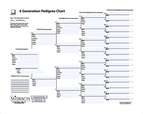 Pedigree Chart Template – 9+ Free Sample, Example, Format Download! | Free & Premium Templates